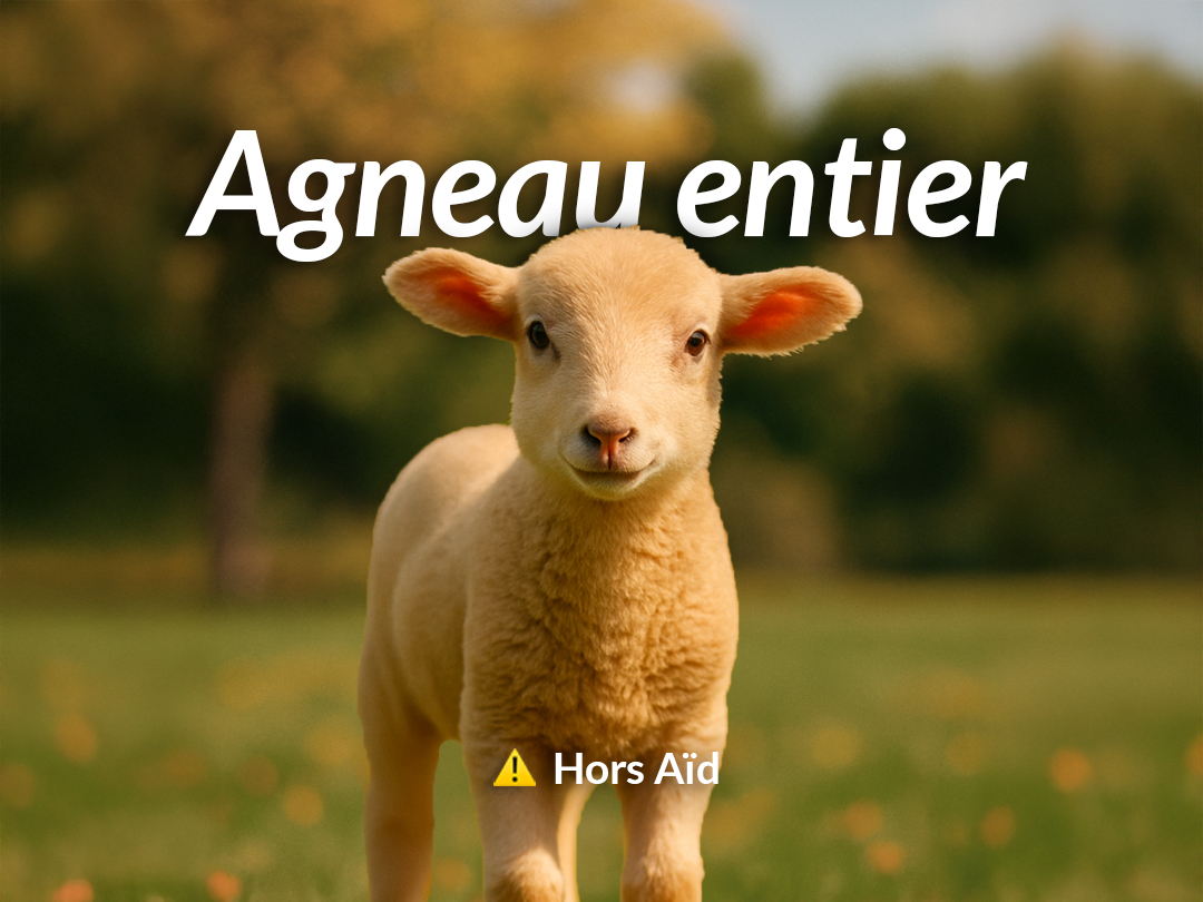 Agneau entier